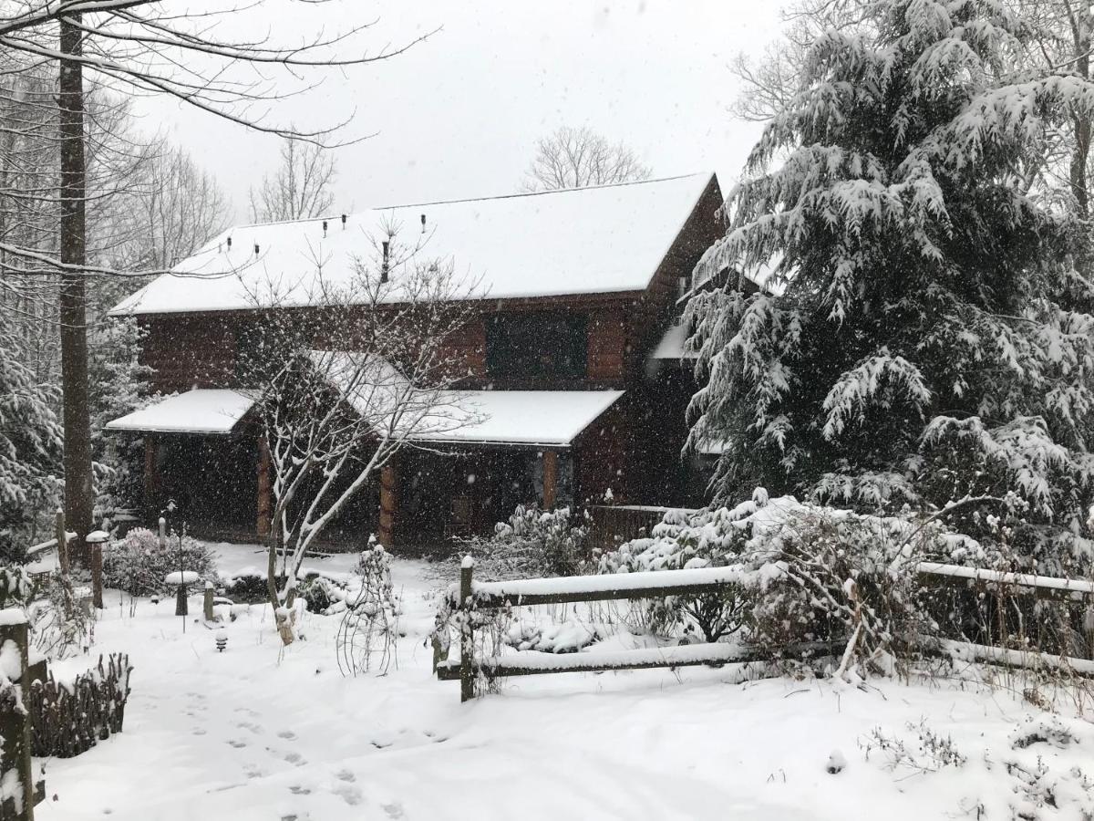 Lazy Bear Lodge Valle Crucis Luaran gambar