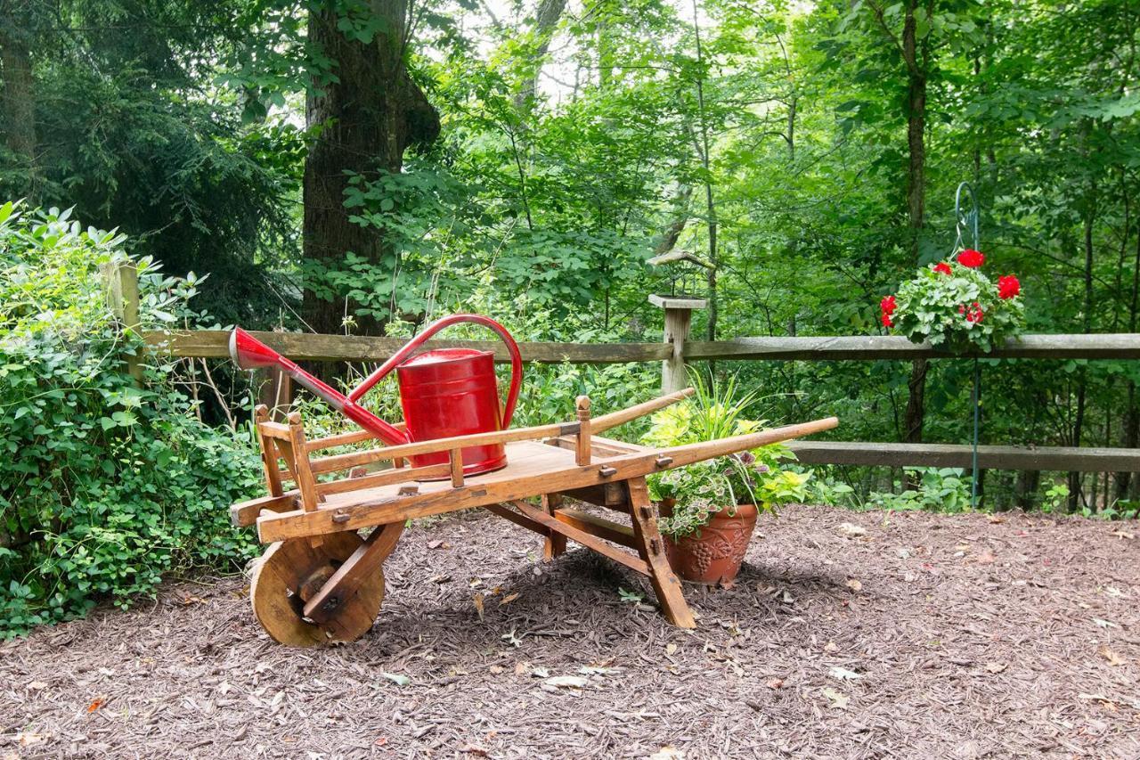 Lazy Bear Lodge Valle Crucis Luaran gambar